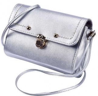 Silver Elegant Bag