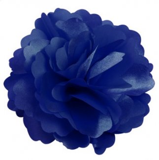 Blue Flower