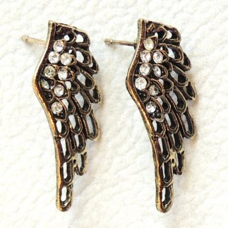 Little Bronze Wings