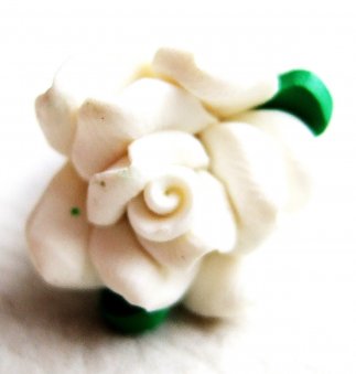 White Clay Rose