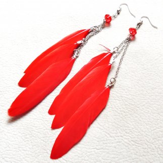 Red Long Feathers