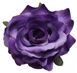 Blooming Rose Purple
