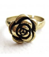 Bronze Rose