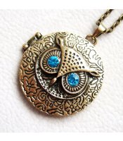 Bronze Owl Medallion