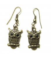 Little Bronze Owls