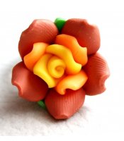 Ochre Clay Rose