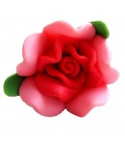 Pink Clay Rose