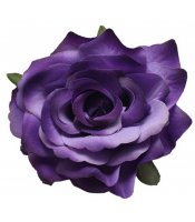 Blooming Rose Purple